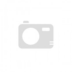 Militarily Badge Pin
